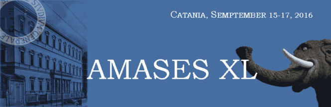 AMASES XL Meeting Catania